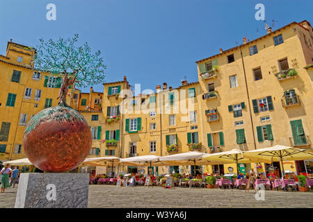 Place de la ville Amfiteatro, Lucca, Toscane, Italie. Banque D'Images