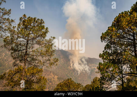 L'augmentation des incendies de forêt autour de Mussoorie Banque D'Images