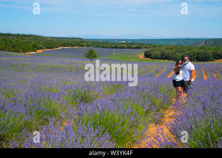 Un couple à selfies un champ lavande. Brihuega, province de Guadalajara, Castille La Manche, Espagne. Banque D'Images
