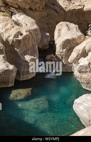 Oase Wadi Bani Khalid en Oman Banque D'Images