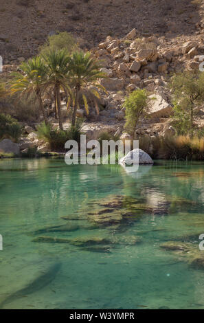 Oase Wadi Bani Khalid en Oman Banque D'Images