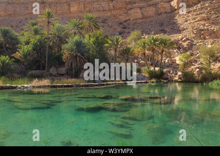 Oase Wadi Bani Khalid en Oman Banque D'Images