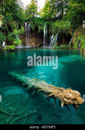 Nationalparks Plitvicer Seen, Kroatien Banque D'Images