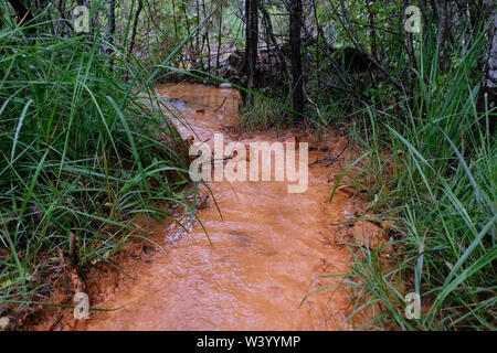 Source de l'eau Narzan ressort avec haute teneur en fer qui lui donne une couleur orange rouille, largement connu pour les qualités de guérison de l'eau minérale le long de la rivière situé dans Hasaut Kabardino-balkarie dans le District fédéral du Caucase du Nord de la Russie Banque D'Images