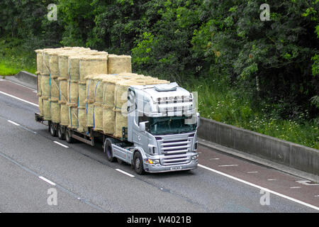 La literie de la félicité des bottes de paille de transport ; transport en vrac lourds des camions de livraison, camion, transport, camion, cargo, véhicule, livraison, transport, industrie, logistique, fret, sur la M6 à Lancaster, UK Banque D'Images