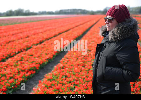 Jeune femme à la recherche d'horizon vers debout dans un champ de tulipes Banque D'Images