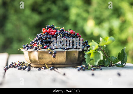 Groseille rouge et noir en bronze bol sur table de jardin Banque D'Images