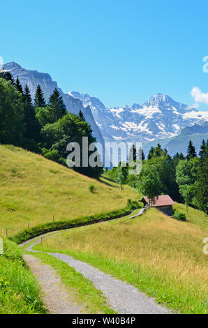 Sentier étroit dans les collines près de Lauterbrunnen en Alpes Suisses menant à une petite cabane de montagne en bois. Photographié sur une journée ensoleillée. Paysage de collines vertes. Les montagnes de neige sur le dessus en arrière-plan. Banque D'Images