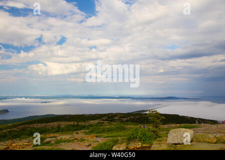 Brouillard sur les îles de Porcupine, vu de Cadillac Mountain, Maine Banque D'Images