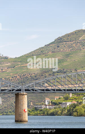 Au village de Pinhão Alto Douro Vinhateiro, le fleuve Douro, pont et vignes Banque D'Images