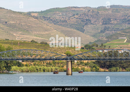 Au village de Pinhão Alto Douro Vinhateiro, le fleuve Douro, pont et vignes Banque D'Images