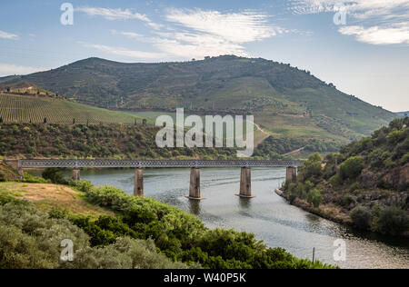 Vue panoramique de l'Alto Douro Vinhateiro avec terrasses, vignes et le pont sur la rivière Douro Tua Banque D'Images