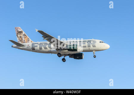 Image de Lobo le loup livery Frontier Airlines (Airbus A319) montré peu avant son atterrissage à l'Aéroport International de Los Angeles. Banque D'Images