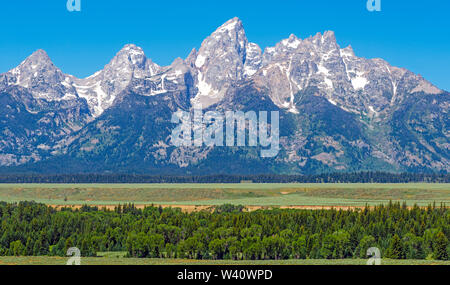 Le Grand Teton panorama de montagnes en été avec pinède, Grand Teton National Park, Rocky Mountains, Wyoming, United States of America, USA. Banque D'Images