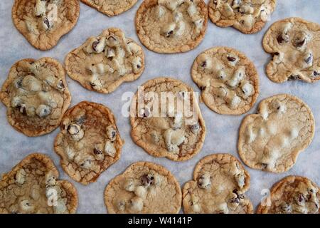 Un lot de fraîchement cuit au chocolat chip cookies. Banque D'Images