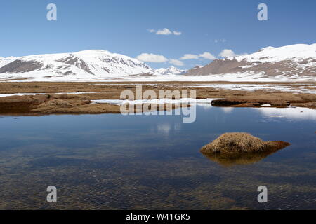 Le plateau supérieur sur la vallée de Barskoon. Province d'Issyk-Koul. Kirghizistan Banque D'Images