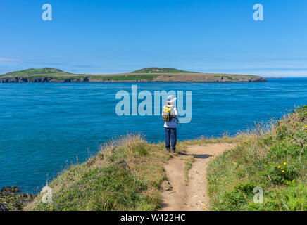 Aventurier solitaire debout sur la falaise à St Justinians surplombant son vers Ramsey Ramsey Island réserve naturelle RSPB Banque D'Images