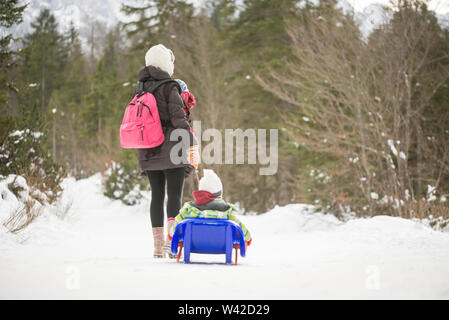 Jeune mère portant son bébé dans une écharpe en tirant son tout-petit à l'hiver la neige sur un toboggan dans une montagne enneigée forêt de pins. Banque D'Images