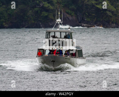 Excursion en bateau dans la région de Milford Sound, Nouvelle Zélande Banque D'Images