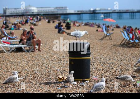 Des dizaines de personnes profiter du soleil par temps chaud et pendant les vacances scolaires d'été sur la plage de Brighton dans l'East Sussex. 14 août 2017 Banque D'Images