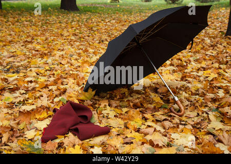 Parapluie noir ouvert et étendu sur des feuilles sèches dans le parc de la ville. Banque D'Images