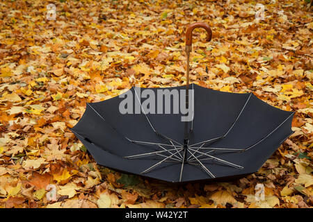 Parapluie noir ouvert étendu sur des feuilles sèches dans le parc de la ville. Banque D'Images