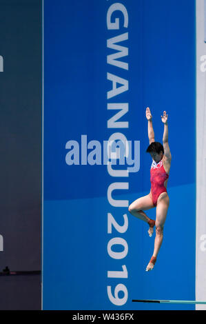 (190719) -- GWANGJU, 19 juillet 2019 (Xinhua) -- Shi Tingmao de la concurrence de la Chine au cours de la féministe tremplin 3m de final à l'événement de plongée du monde de la FINA à Gwangju, Corée du Sud, le 19 juillet 2019. (Xinhua/Xia Yifang) Banque D'Images