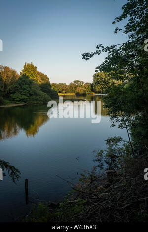 Lac départment dans Arundel Park, West Sussex, UK Banque D'Images