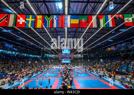 Hradec Kralove, République tchèque. 19 juillet, 2019. 13e Championnat du Monde SKIF à Hradec Kralove, République tchèque, le 19 juillet 2019. Photo : CTK/Tanecek Photo/Alamy Live News Banque D'Images