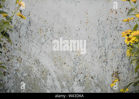 Distressed grunge fond de fleurs sauvages sur les côtés. Vieux métal rouillé texture, avec copie espace pour l'insertion de texte. Banque D'Images