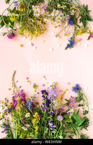 Médecine alternative naturelle. La vitamine d'herbes médicinales ou des pilules homéopathiques et de plantes médicinales biologiques sur fond rose, vue du dessus, copiez l'espace. Banque D'Images