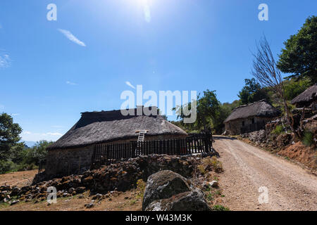 Palloza, habitation traditionnelle de la Serra dos Ancares, Campo del Agua , province de Leon, Castille, Espagne Banque D'Images