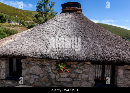 Palloza, habitation traditionnelle de la Serra dos Ancares, Campo del Agua , province de Leon, Castille, Espagne Banque D'Images