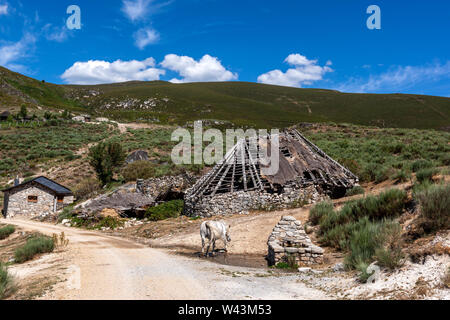 Autres Palloza, habitation traditionnelle de la Serra dos Ancares, utilisé comme une grange, paysage près de Campo del Agua , province de Leon, Castille, Espagne Banque D'Images