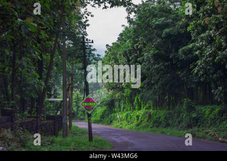 Vagamon, Kerala, Inde- 07 juillet 2019 Peerumedu:Erattupetta road à vagamon hill station Banque D'Images