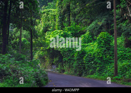 Vagamon, Kerala, Inde- 07 juillet 2019 Peerumedu:Erattupetta road à vagamon hill station Banque D'Images