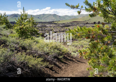 Randonnées sentier menant à des champs de lave volcanique noire à cratères de la Lune Monument National en Arkansas Banque D'Images