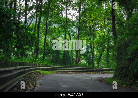 Vagamon, Kerala, Inde- 07 juillet 2019 Peerumedu:Erattupetta road à vagamon hill station Banque D'Images