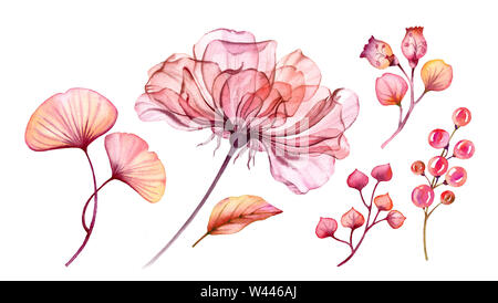 Aquarelle floral Transparent rose jeu isolé sur blanc collection de petits fruits, feuilles, branches bundle en rose pastel, corail rouge orange vert Banque D'Images
