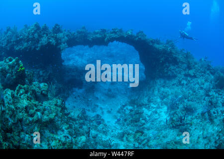 Un plongeur submergé explore une arche naturelle formée sur une magnifique barrière de corail au large de la côte de Grand Cayman dans la mer des Caraïbes. Banque D'Images