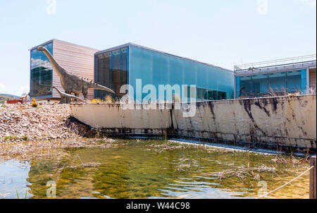 Museo de Paleontología. Ciudad de Cuenca. Castilla la Mancha. España Banque D'Images