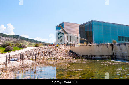 Museo de Paleontología. Ciudad de Cuenca. Castilla la Mancha. España Banque D'Images