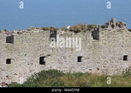 Dunnottar Castle, Scotland Banque D'Images