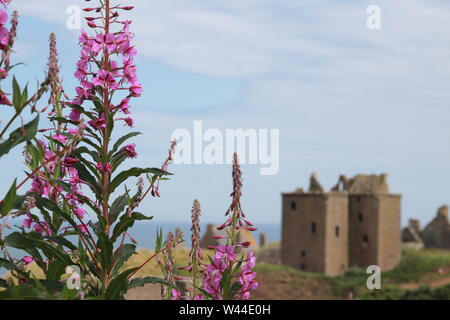 Dunnottar Castle, Scotland Banque D'Images