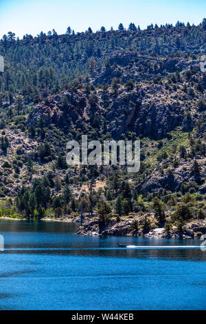 La vitesse d'un bateau à travers le lac Grant sur un matin calme dans le lac juin boucle dans l'Est de la Sierra Nevada de Californie USA Banque D'Images