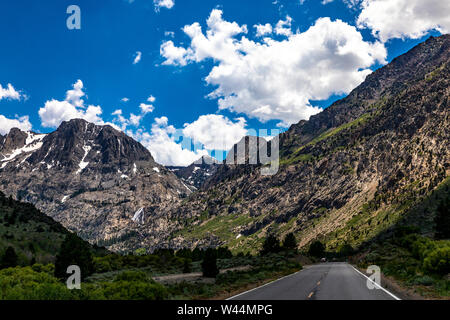 Le long de la Californie, la Route 158 la boucle du lac Juin en juillet 2019 après les chutes de neige record les choses vont dans la partie Est de la Sierra Nevada Banque D'Images