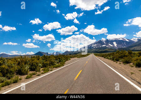 Le long de la Californie, la Route 158 la boucle du lac Juin en juillet 2019 après les chutes de neige record les choses vont dans la partie Est de la Sierra Nevada Banque D'Images