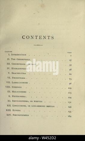 La commune d'insectes sélectionnés à partir de la typique de coléoptères, papillons de nuit, et les papillons de Grande-Bretagne Banque D'Images