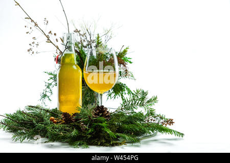 Une vue rapprochée du plateau, un Kombucha lacto boisson fermentée à base de champignons, le thé vert et le sucre. Utilisé comme une médecine alternative pour le traitement de l'arthrite et le vieillissement Banque D'Images