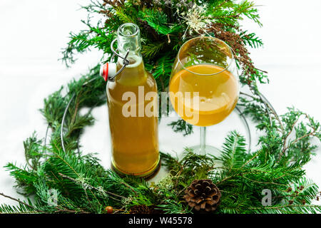 Un angle de vue élevé Kombucha et naturel du feuillage. Un thé vert fermenté à base de champignon. L'Asie de l'est une boisson avec des prestations. détoxifiant Banque D'Images